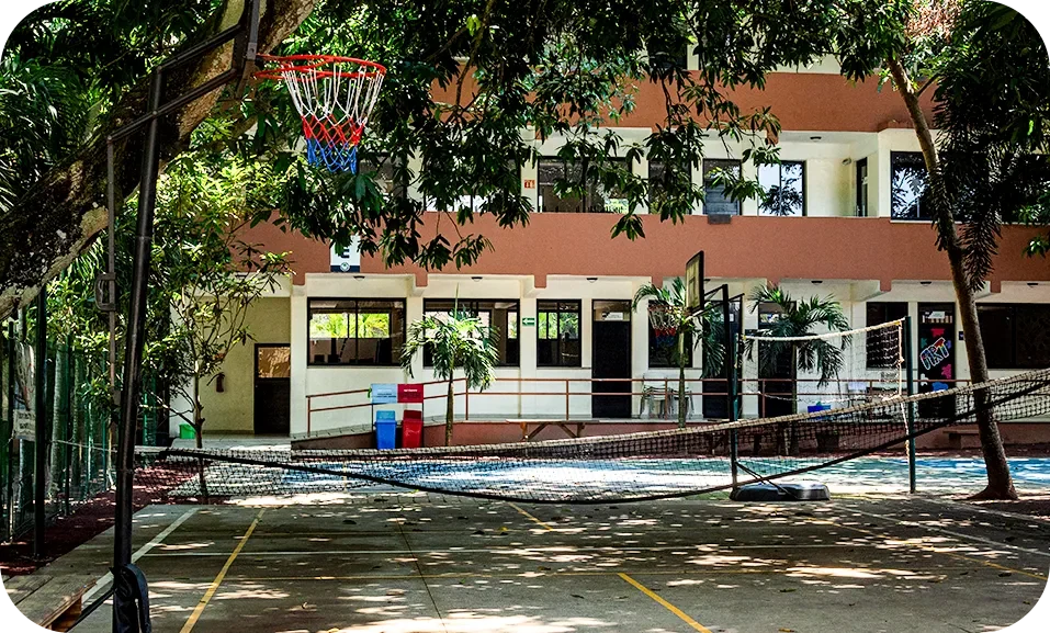 Edificio del colegio rodeado de árboles